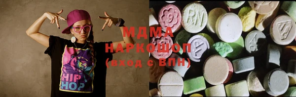индика Бородино