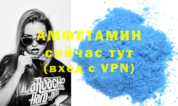 индика Бородино