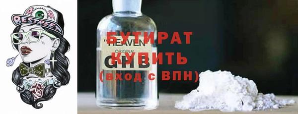 индика Бородино