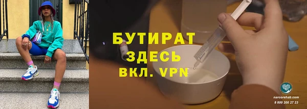 индика Бородино