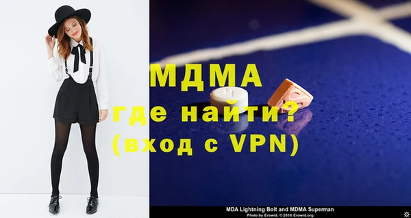 индика Бородино