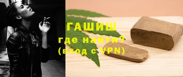 индика Бородино