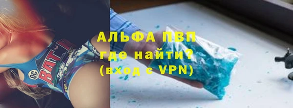 индика Бородино