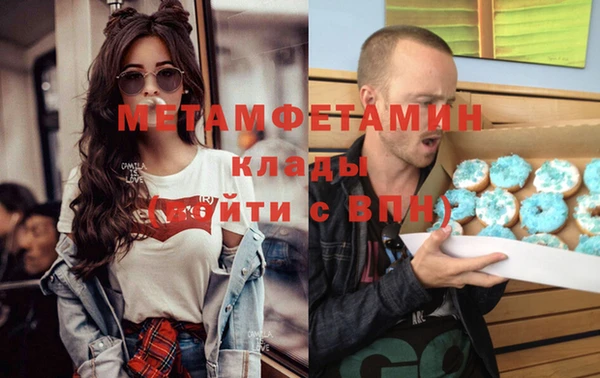 индика Бородино