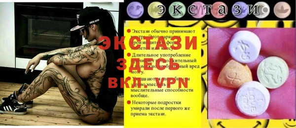 индика Бородино