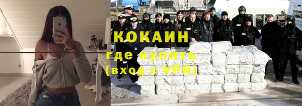 индика Бородино