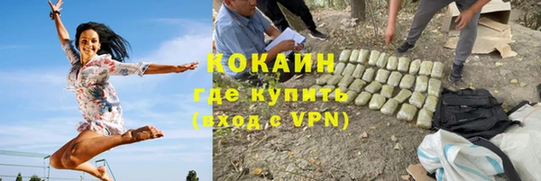 индика Бородино