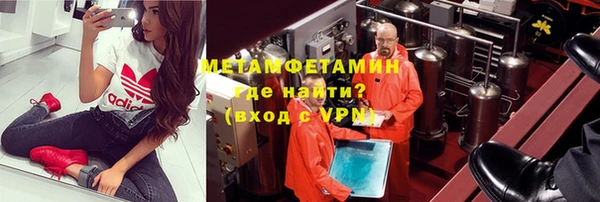 индика Бородино